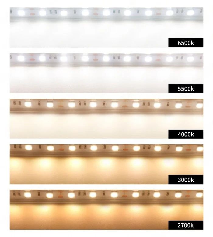 LightingWill DC24V SMD5050 Full Spectrum LED Strip Light 60LEDs/m 300 LEDs 12W/m, CRI 97+ Bright LED Ribbon 2700K–6500K, 10mm PCB IP00/IP67 for Kitchen Cabinet, Mirror, Bedroom, 5/50M