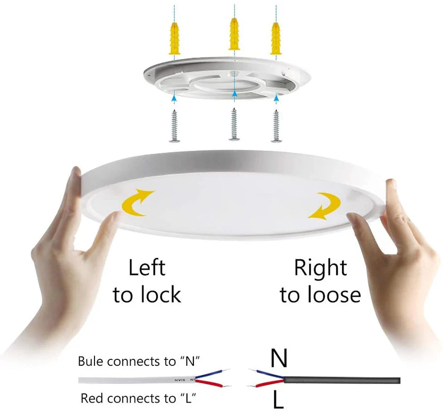 12 Inch 24W White / Black Smart RGBCW Round Slim LED Ceiling Lights – AC 110–130V | RGB Color Changing, 2700K–6500K Adjustable with Dimmable Brightness | Compatible with Alexa/Google Home/APP Control WiFi Light for Bedroom/Kids Room/Party – 2-Pack