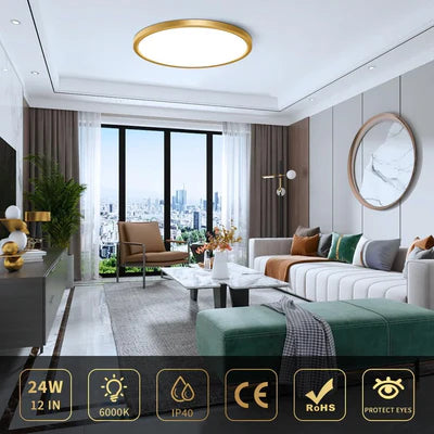 12 Inch 24W White / Gold Round Slim LED Ceiling Lights – AC 110–130V | 3000K / 4500K / 5000K / 6500K | Flush Mount Ceiling Light for Modern Home Lighting | 1-Pack – Local Stock (US)