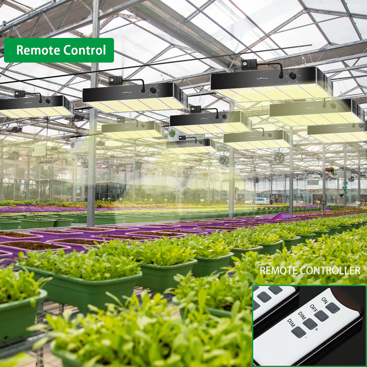 GP-Plus Series Professional Full Spectrum LED Grow Light - AC110 – 220V | 100W / 150W / 200W / 300W / 400W | 3.5×3FT – 6×5FT | VEG & Bloom Dual Mode | 0–10V Dimming | Remote Control | Daisy Chain | Silent Fan | Hanging Rope | US / EU / UK / AU Plug