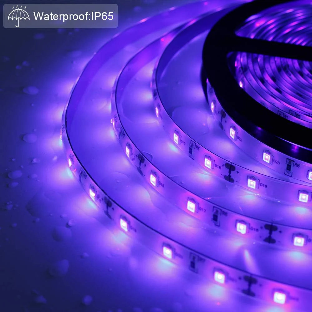 LightingWill 395–405nm SMD2835 UV LED Strip Light – 60 LEDs/m, 5M (16.4FT), Non-Waterproof/IP65