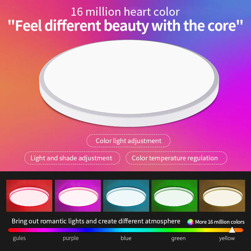 12 Inch 24W White / Black Smart RGBCW Round Slim LED Ceiling Lights – AC 220–240V | RGB Color Changing, 2700K–6500K Adjustable with Dimmable Brightness | Compatible with Alexa/Google Home/APP Control WiFi Light for Bedroom/Kids Room/Party – 2-Pack