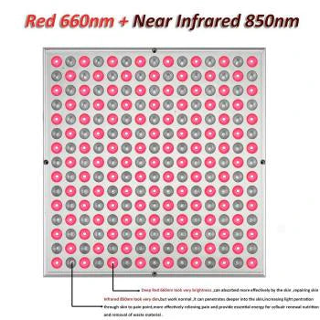 20W Floor Standing Infrared Therapy Lamp – Red Light 655–665nm & IR 850–860nm | Dimmable Timer | AC100–240V | Aluminum Alloy + PC Cover | Floor Stand Included | for Skin Care & Muscle / Joint Relief | US / EU Plug